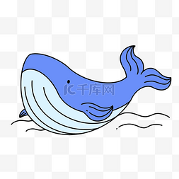 蓝色海洋鲸鱼图片_大海可爱鲸鱼蓝色海洋海底生物