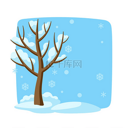 冬天的树，树枝上有雪。