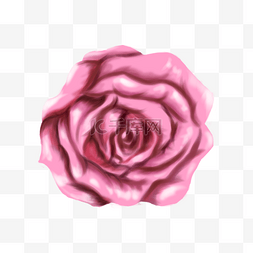 一朵小粉红色的花朵