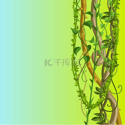 扭曲的树图片_扭曲的野生藤本植物树枝背景。