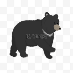 黑熊家族图片_卡通爬行黑熊贴图