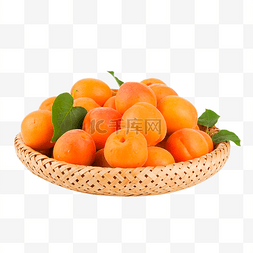 成熟的黄杏图片_夏天水果杏子黄杏