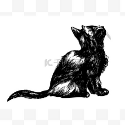 手绘黑色猫图片_看着一只猫的图画