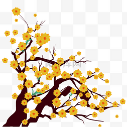 杏花烟雨图片_越南新年树枝黄杏花装饰