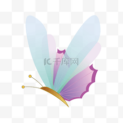 彩色的舞蹈培训字图片_彩色昆虫蝴蝶