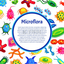 微生物护肤图片_微生物区系海报带有圆形块和细菌