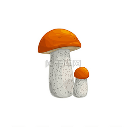 橙色的帽子图片_蘑菇牛肝菌矢量图标卡通蔬菜或森