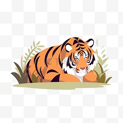 一只趴在草里的老虎