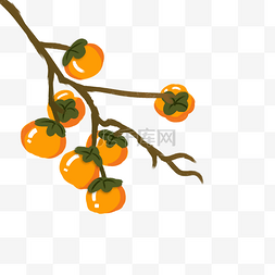 橘色秋天图片_秋天柿子树