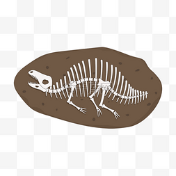 卡通恐龙骨骼图片_恐龙骨骼化石剪贴画卡通恐龙素材