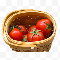 餐饮服装背面图片_餐饮西红柿小番茄