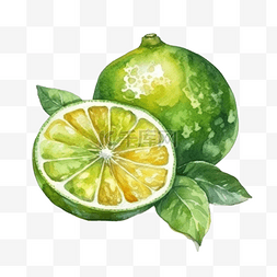 柠檬插画图片_卡通手绘水果柠檬青柠