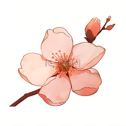 粉色质感花朵图片_粉色插画质感盛开的桃花