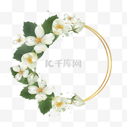 茉莉花卉水彩圆形边框