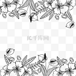 线稿植物素材图片_黑色花卉线稿植物边框