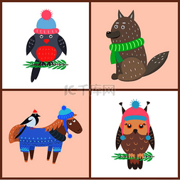 冬天穿的红图片_收集动物海报，红腹灰雀戴帽子，