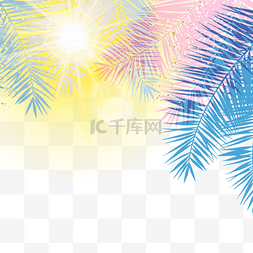 阳光照射的树叶图片_阳光照射下的彩色棕榈叶边框