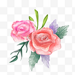 手绘水彩玫瑰装饰元素