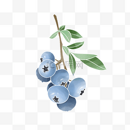 蓝色美食图片_水彩水果植物蓝莓