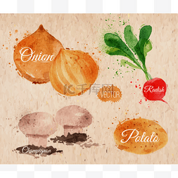 素描手绘葡萄图片_蔬菜水彩画萝卜、 洋葱、 土豆、 