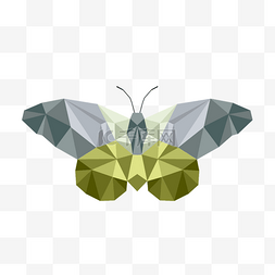 绿色灰色几何风格多边形低聚蝴蝶