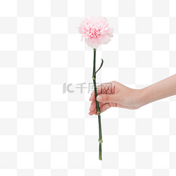 手拿粉色康乃馨