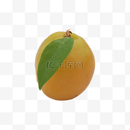 杏营养自然黄色