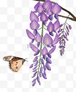 紫色水彩花朵紫藤花蝴蝶