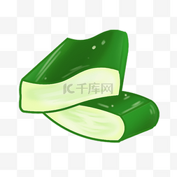 芦荟胶果肉植物绿色图片