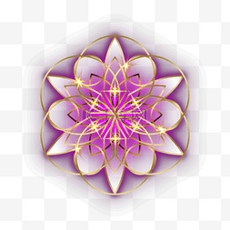紫色花纹抽象光效几何花卉