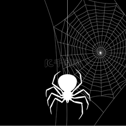 与黑寡妇蜘蛛的背景。