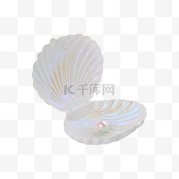珍珠贝壳配件塑料海洋