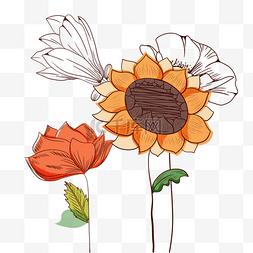 草本植物装饰图片_花卉抽象线稿向日葵装饰