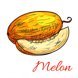西瓜的标志设计图片_甜瓜果实矢量颜色草图图标单独的