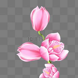 粉色唯美桃花图片_立春植物粉色花朵春天桃花