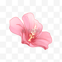 水彩花卉水果图片_创意水彩粉色花朵图案