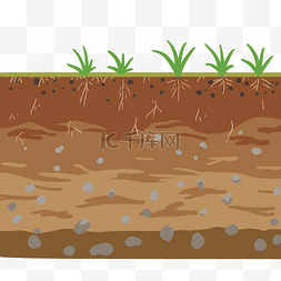 泥土有水图片_泥土种植禾苗