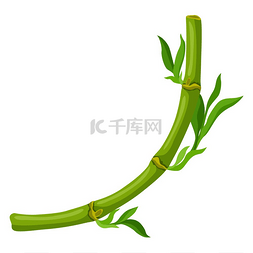 自然竹子图片_与绿色竹茎和叶子的框架。
