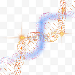 dna分子结构图片_dna分子结构双色抽象螺旋