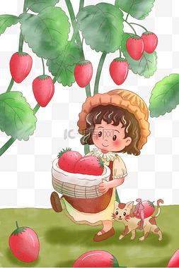 树叶与猫图片_女孩与猫摘草莓