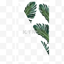 白色隔图片_边框水彩植物纪念instagram