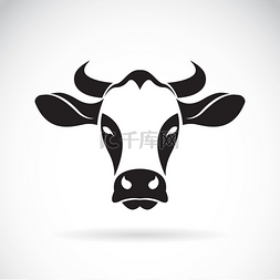 奶牛头手绘图片_白色背景下奶牛头的传病媒介.
