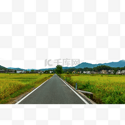 稻田丰收的田园公路