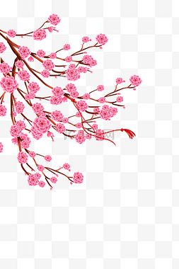 春天春暖花开桃花盛开花枝树枝