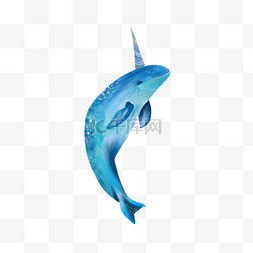 独角鲸鱼水彩蓝色
