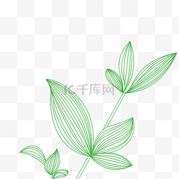 线描叶子线描图片_立春线性植物枝叶绿色叶子