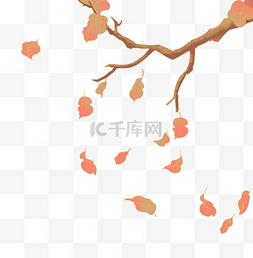 树枝仰拍图片_秋季植物树枝落叶