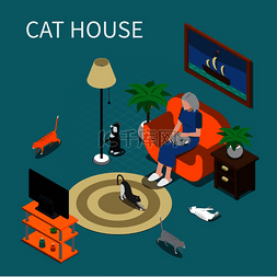 首页排版图片_老妇和她的宠物猫在家里等距组合