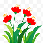 红色花朵潮流植物装饰