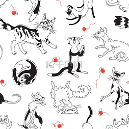 白色纱线图片_无缝图案与玩不同品种的猫和纱线